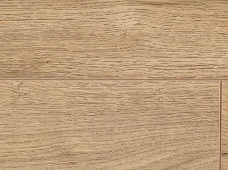 Дуб Тихий D 3280