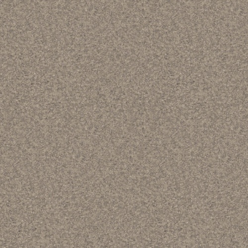 NEVADA 2 (3)