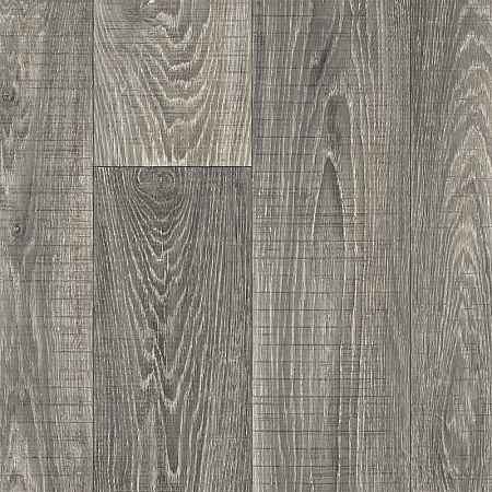 Winter Oak 899 (3)