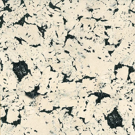 Лерида абедуль