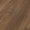 Орех Индийский D 3875