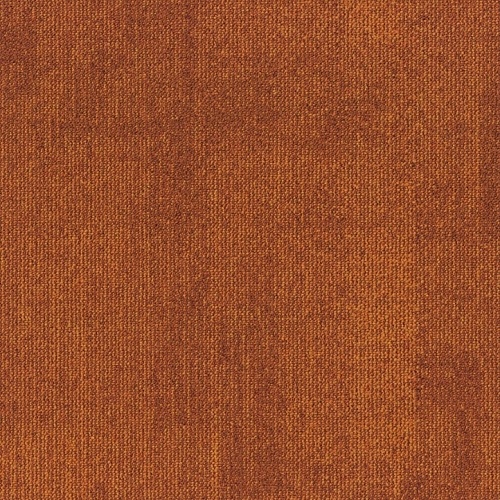 Teak 273