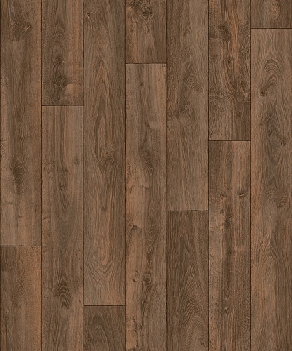 CARPATIAN OAK 4 (3)
