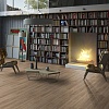 Enigma