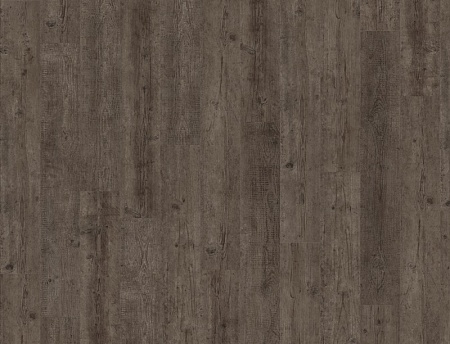 2965 Swedish Pine