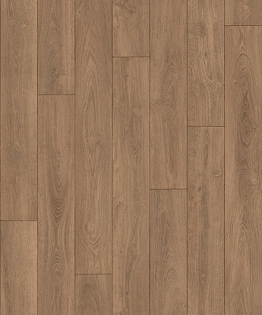CARPATIAN OAK 5 (2,5)
