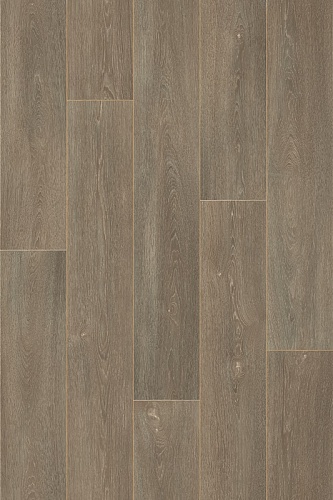 COLUMBIAN OAK 10 (3,5)