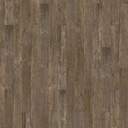Renoir S 504450005