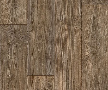 AUSTRALIAN PINE 3 (2,5)