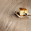 Дуб Cheese Cake