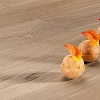 Дуб Apricot Sorbet