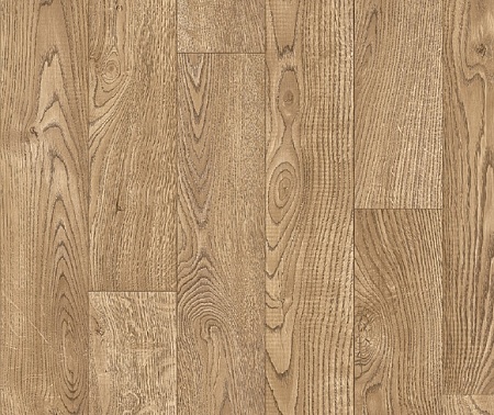 CARIBBIAN OAK 1 (3,5)