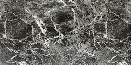 SN17-07 Бельведер