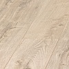 Дуб Атлантический D 3788