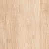 Дуб Тренд ID 03