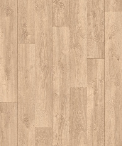CARPATIAN OAK 2 (2)