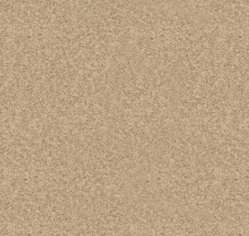NEVADA 1 (2,5)
