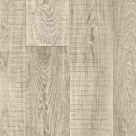 Winter Oak 855 (3,5)