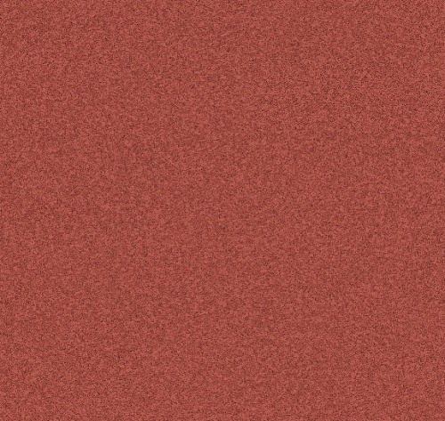 NEVADA 5 (4)