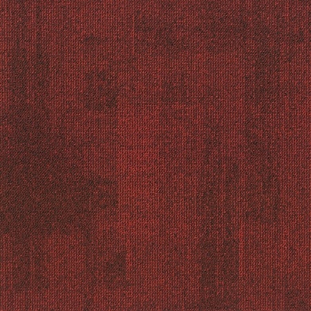 Teak 363