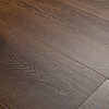 Chene de Provence BF10-3005-FR