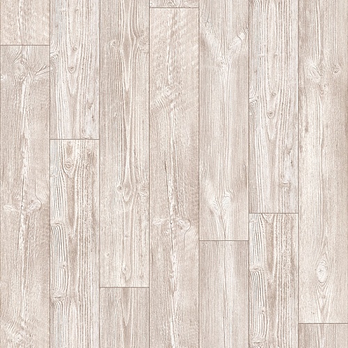 AUSTRALIAN PINE 5 (2,5)