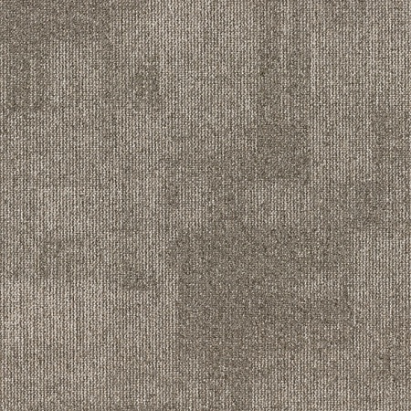 Teak 789