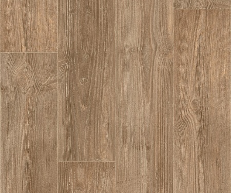 AUSTRALIAN PINE 2 (3,5)