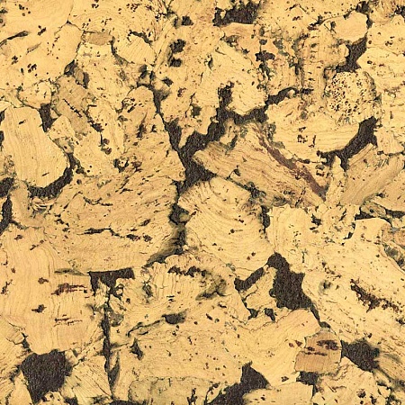 Кориа маррон