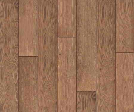 GOLD OAK 1 (3)