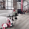 Платан Impresion D 3334