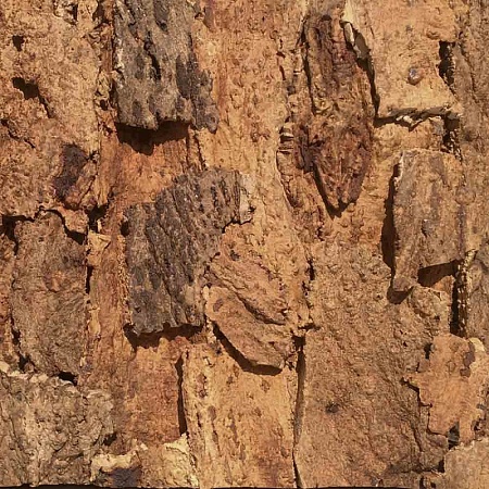 Форментура