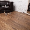 Chene de Provence BF10-3005-FR