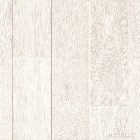 Belfast 3_011L (3,5)