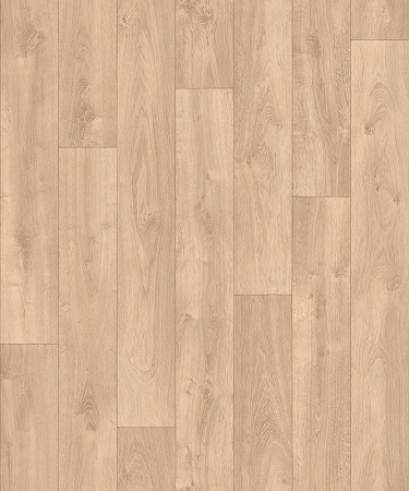 CARPATIAN OAK 2 (2,5)