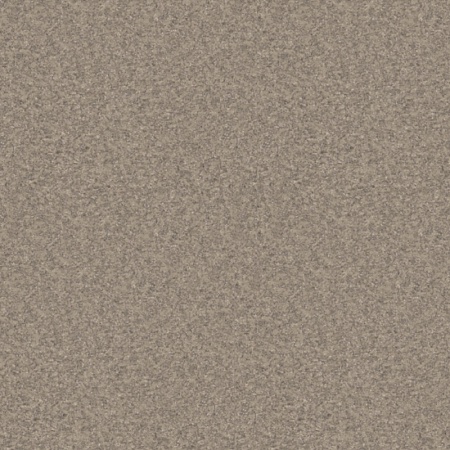 NEVADA 2 (4)