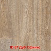 Дуб Сфинкс ID67