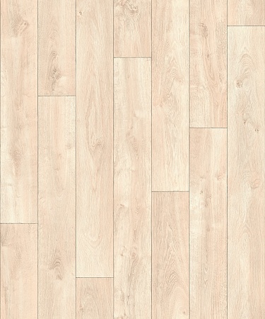 CARPATIAN OAK 1 (4)