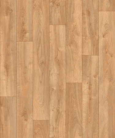 CARPATIAN OAK 3 (2)