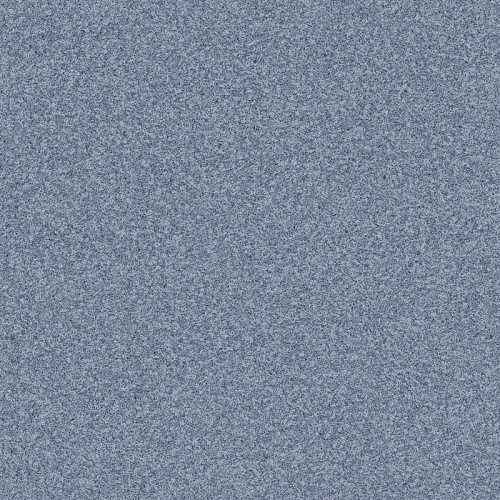 NEVADA 7 (2,5)