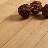 Дуб Ливорно D 3033