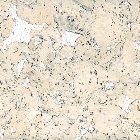 Лерида невада