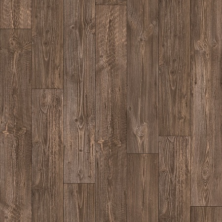 AUSTRALIAN PINE 7 (2,5)