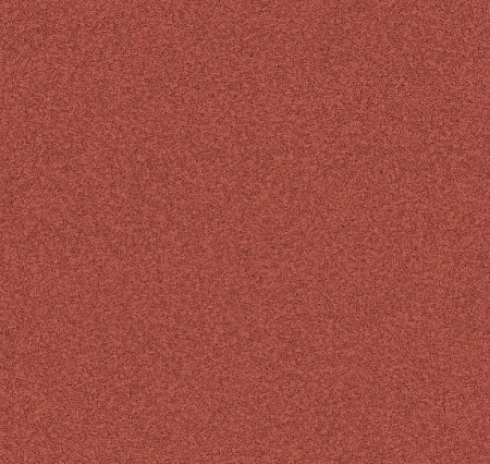 NEVADA 5 (3)