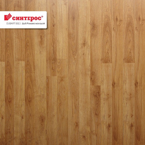 Дуб Романо Молодой