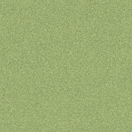 NEVADA 6 (3)