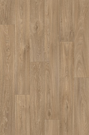HAVANNA OAK 634M