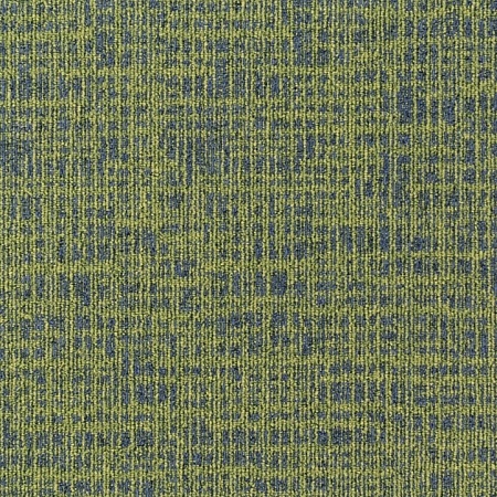 646