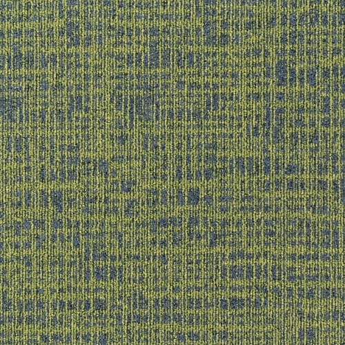 646